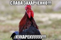 слава захарченко!!! кукарекууууу!!!