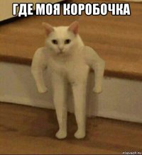 где моя коробочка 