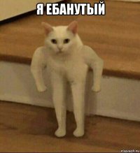 я ебанутый 