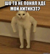 шо то не понял хде мой китикэт? 