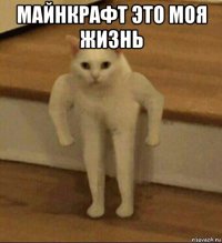 майнкрафт это моя жизнь 