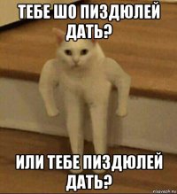 тебе шо пиздюлей дать? или тебе пиздюлей дать?