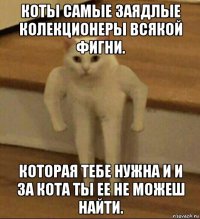 коты самые заядлые колекционеры всякой фигни. которая тебе нужна и и за кота ты ее не можеш найти.