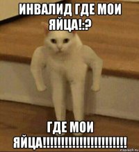 инвалид где мои яйца!:? где мои яйца!!!!!!!!!!!!!!!!!!!!!!!