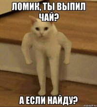 ломик, ты выпил чай? а если найду?