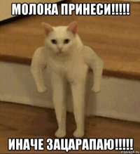 молока принеси!!!!! иначе зацарапаю!!!!!