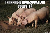 типичные пользователи соцсетей 