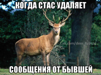 когда стас удаляет сообщения от бывшей