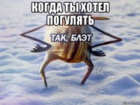 когда ты хотел погулять 