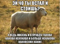 эй чо ты встал и стоишь? а ведь жизень и в правду такова какова некокава и больше некакова каковских каких