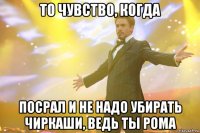 то чувство, когда посрал и не надо убирать чиркаши, ведь ты рома