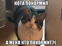 кота покормил а меня кто покормит?(