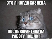 это я когда хазяева после карантина на работу пошли !