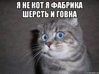 я не кот я фабрика шерсть и говна 