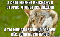 я своё мнение выскажу в сторис, чтобы все видели а ты мне своё в лицо говори, пёс, если не согласен