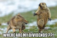  where are my dividends ??!