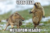 чтоб тебя метеором уебало