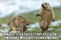  ничего, что я здесь стою? а ты бери землянику, морошку, чернику, малину