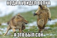 кода я увидел волка а это был сон