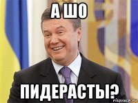 а шо пидерасты?