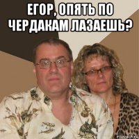 егор, опять по чердакам лазаешь? 