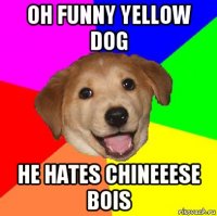 oh funny yellow dog he hates chineeese bois