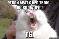 твой брат съел твою шоколадку!!! ты