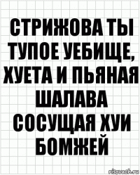 Стрижова ты тупое уебище, хуета и пьяная шалава сосущая хуи бомжей