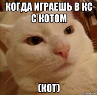 когда играешь в кс с котом (кот)