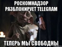 роскомнадзор разблокирует telegram теперь мы свободны