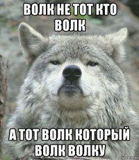 волк не тот кто волк а тот волк который волк волку