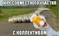 юре совместного участия с коллективом