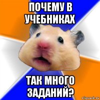 почему в учебниках так много заданий?