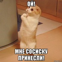 ой! мне сосиску принесли!