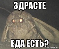 здрасте еда есть?