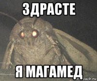 здрасте я магамед