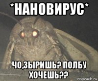 *нановирус* чо,зыришь? полбу хочешь??