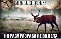 че пялишься? ни разу разраба не видел?