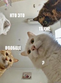 Кто это Такие Вообще ?