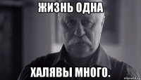 жизнь одна халявы много.