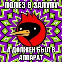 полез в залупу а должен был в аппарат