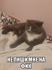  не пиши мне на фик