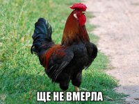  ще не вмерла