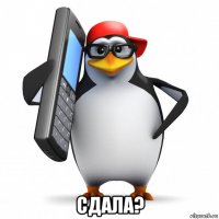  сдала?