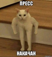 пресс накачан