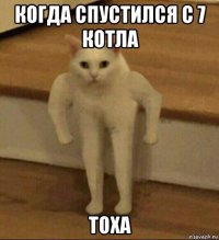 когда спустился с 7 котла тоха