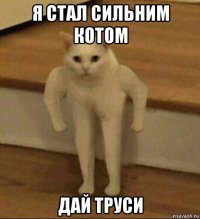 я стал сильним котом дай труси