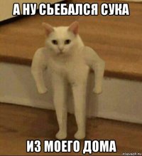 а ну сьебался сука из моего дома