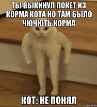 ты выкинул покет из корма кота но там было чючють корма кот: не понял