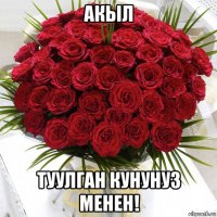 акыл туулган кунунуз менен!